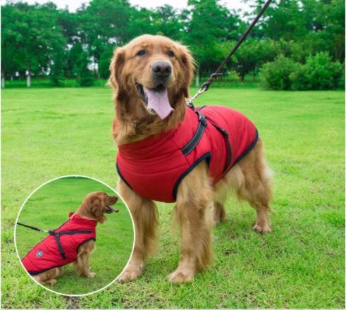 70% OFF TODAY Waterproof Winter Jacket with Built-in Harness
