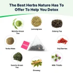 LULUTOX Detox Tea - Herbal Blend with Dandelion Ginseng and Ginger